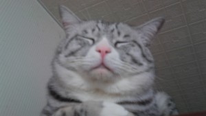 16/01/19 23:43:35